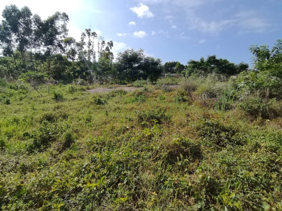 Commercial Property for Sale in Mzingazi KwaZulu-Natal