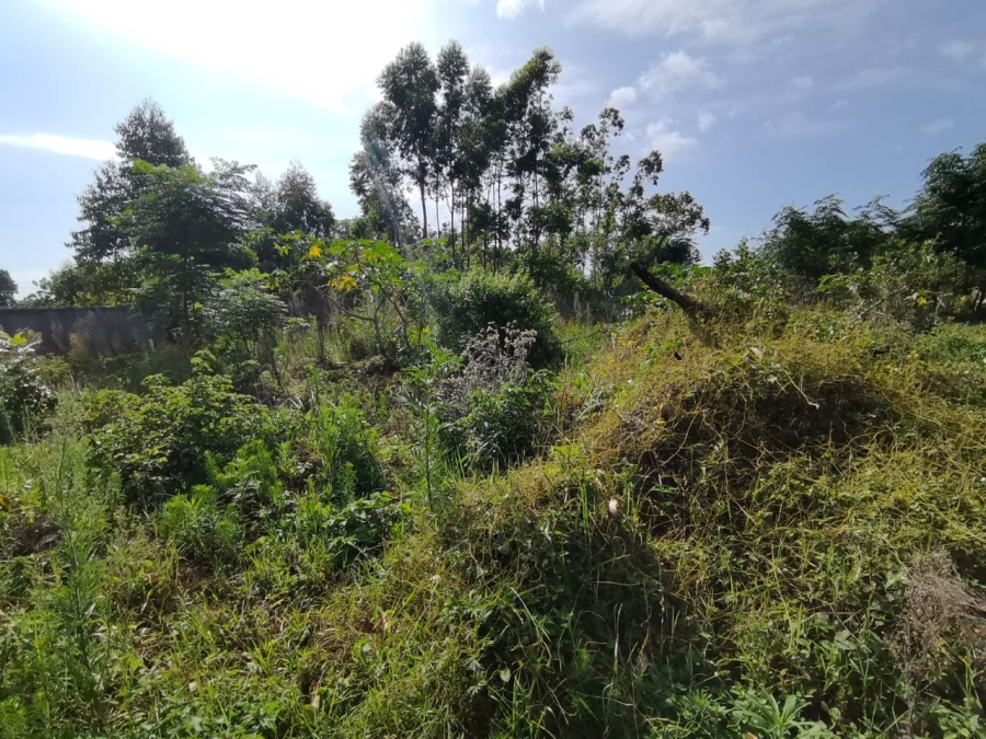 Commercial Property for Sale in Mzingazi KwaZulu-Natal