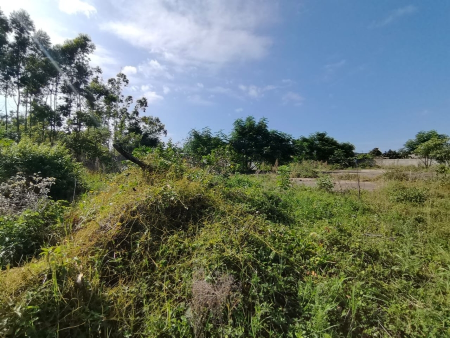 Commercial Property for Sale in Mzingazi KwaZulu-Natal