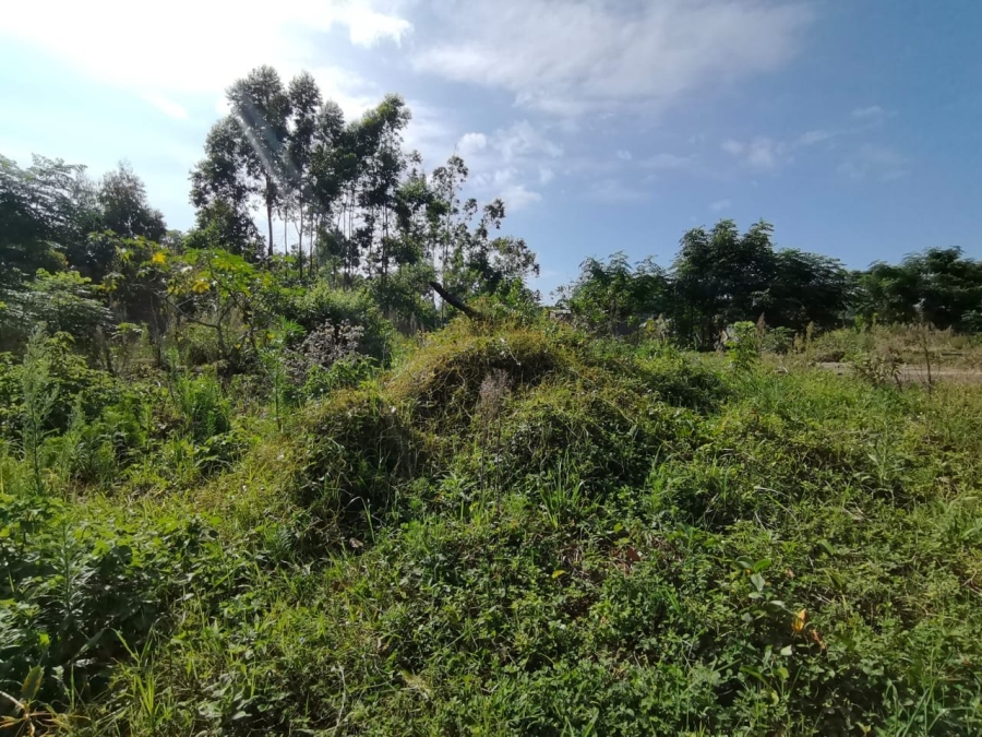 Commercial Property for Sale in Mzingazi KwaZulu-Natal