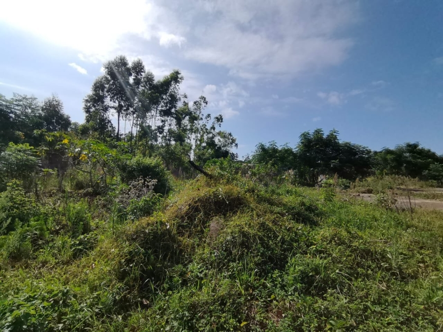 Commercial Property for Sale in Mzingazi KwaZulu-Natal