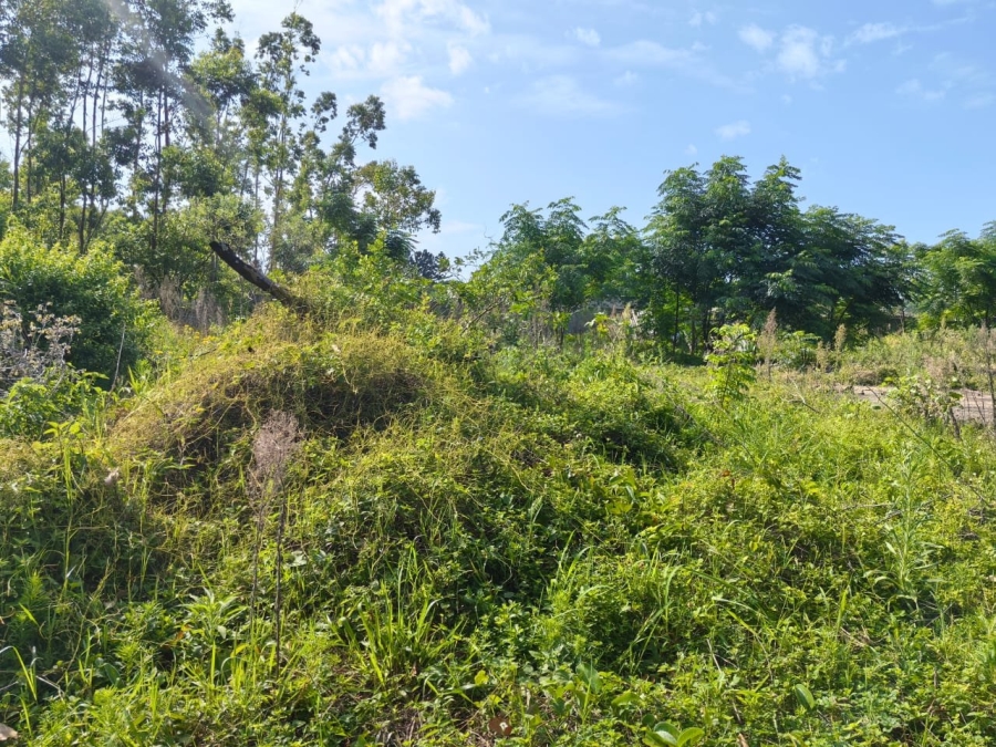 Commercial Property for Sale in Mzingazi KwaZulu-Natal