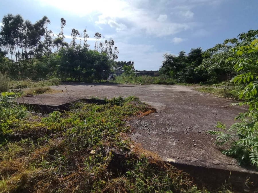 Commercial Property for Sale in Mzingazi KwaZulu-Natal