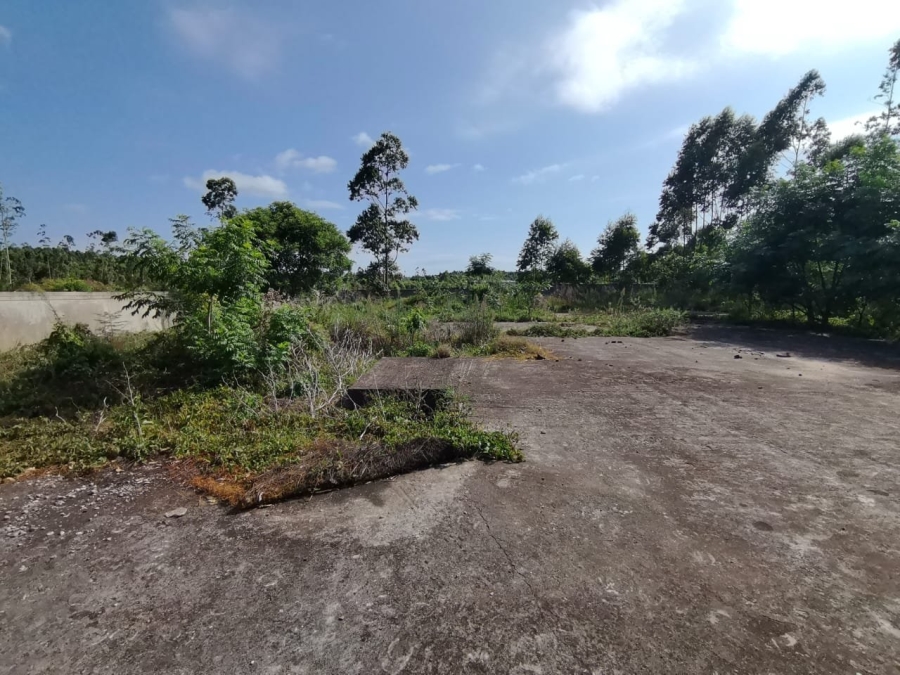 Commercial Property for Sale in Mzingazi KwaZulu-Natal