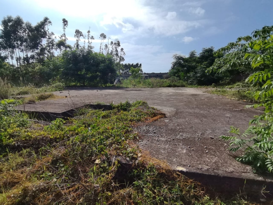 Commercial Property for Sale in Mzingazi KwaZulu-Natal