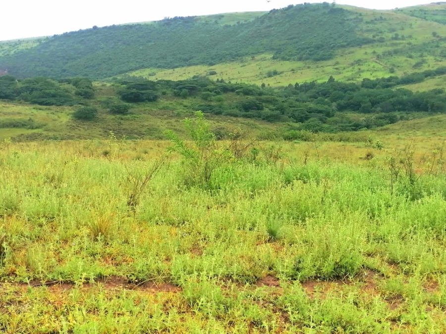 Commercial Property for Sale in Stanger KwaZulu-Natal