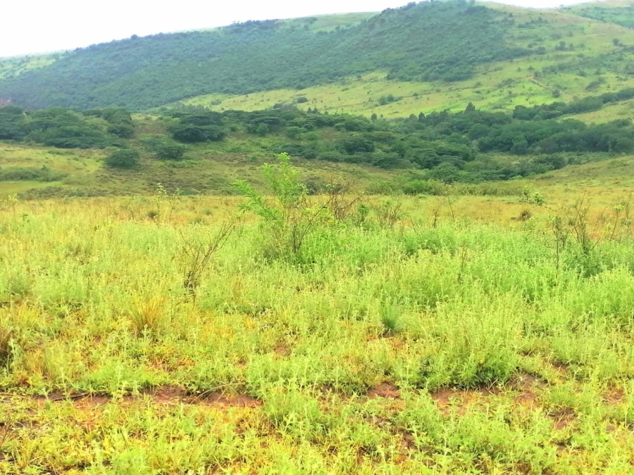 Commercial Property for Sale in Stanger KwaZulu-Natal