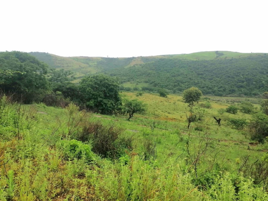 Commercial Property for Sale in Stanger KwaZulu-Natal