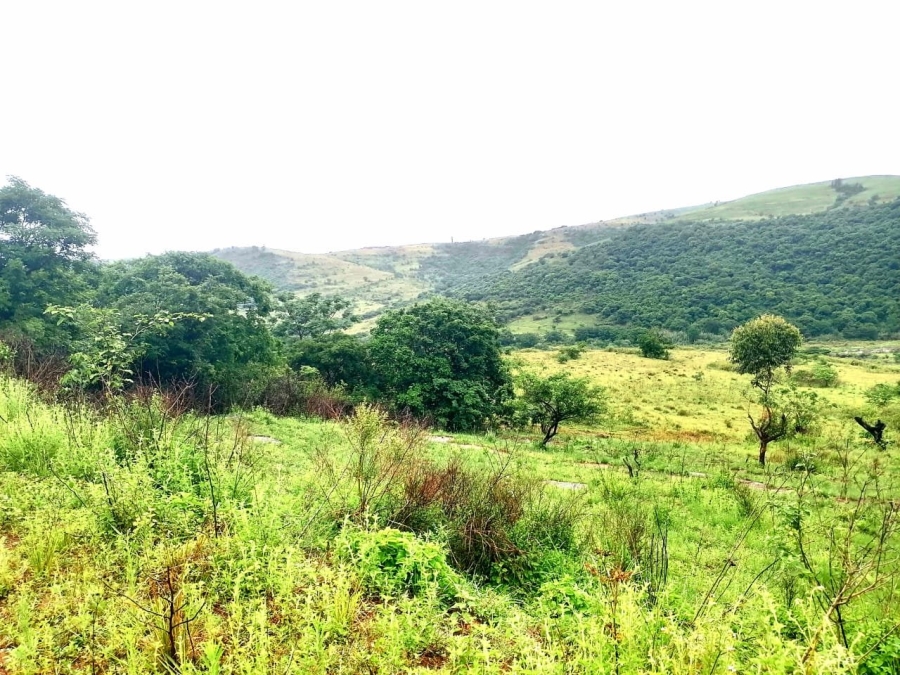 Commercial Property for Sale in Stanger KwaZulu-Natal