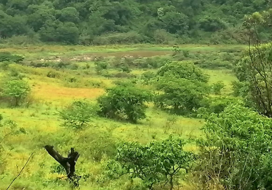 Commercial Property for Sale in Stanger KwaZulu-Natal