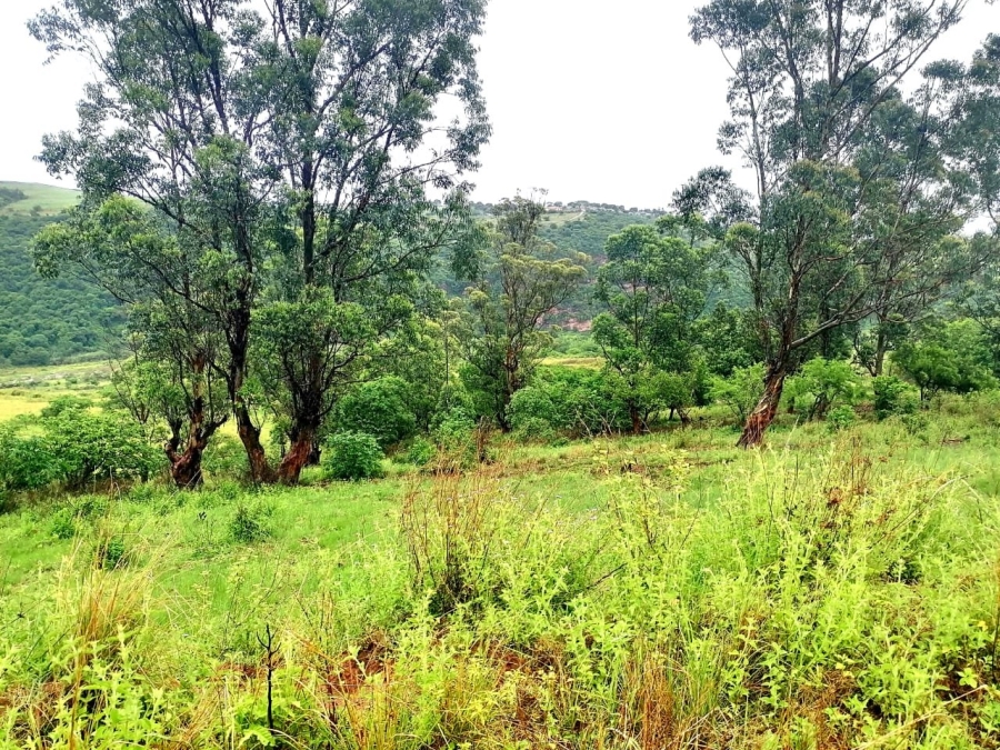 Commercial Property for Sale in Stanger KwaZulu-Natal