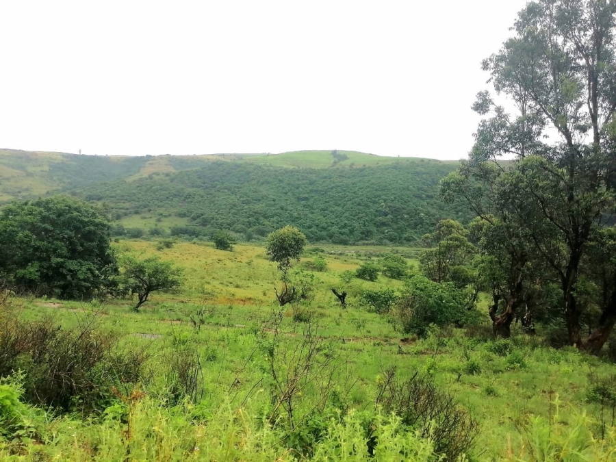 Commercial Property for Sale in Stanger KwaZulu-Natal