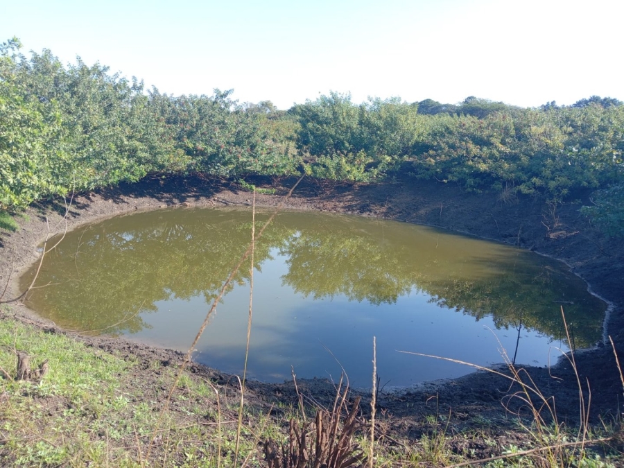 Commercial Property for Sale in Empangeni Central KwaZulu-Natal