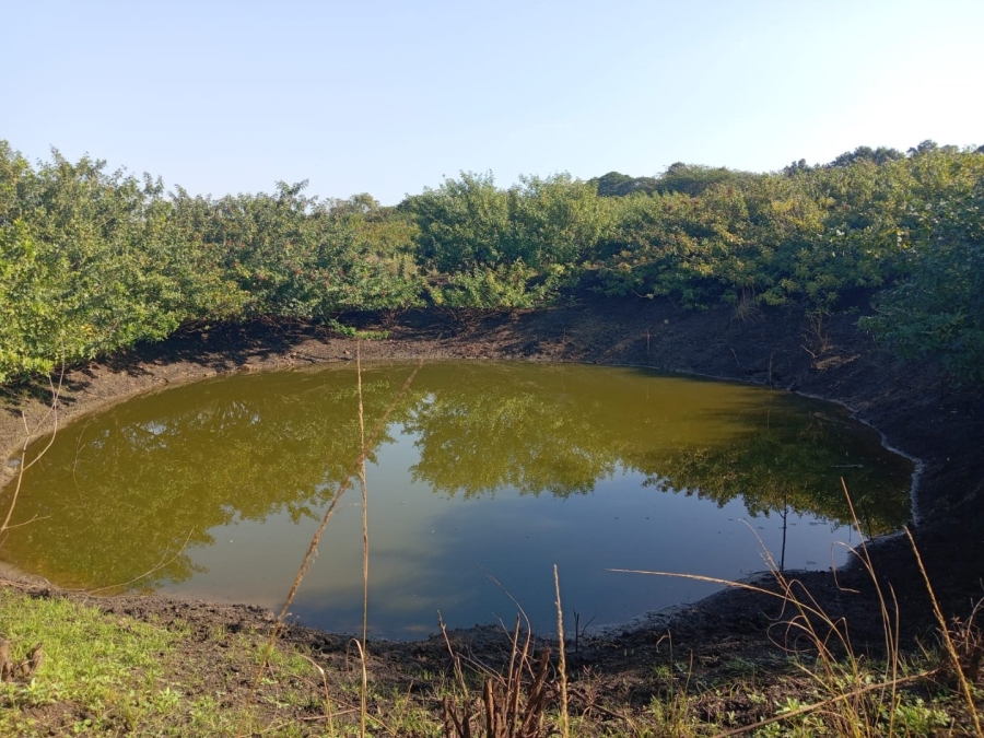 Commercial Property for Sale in Empangeni Central KwaZulu-Natal