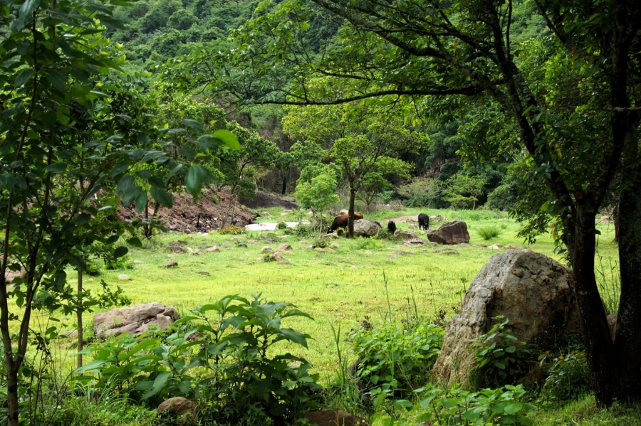 Commercial Property for Sale in Shongweni KwaZulu-Natal