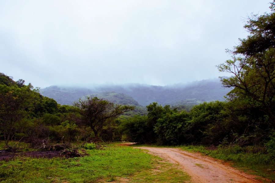 Commercial Property for Sale in Shongweni KwaZulu-Natal