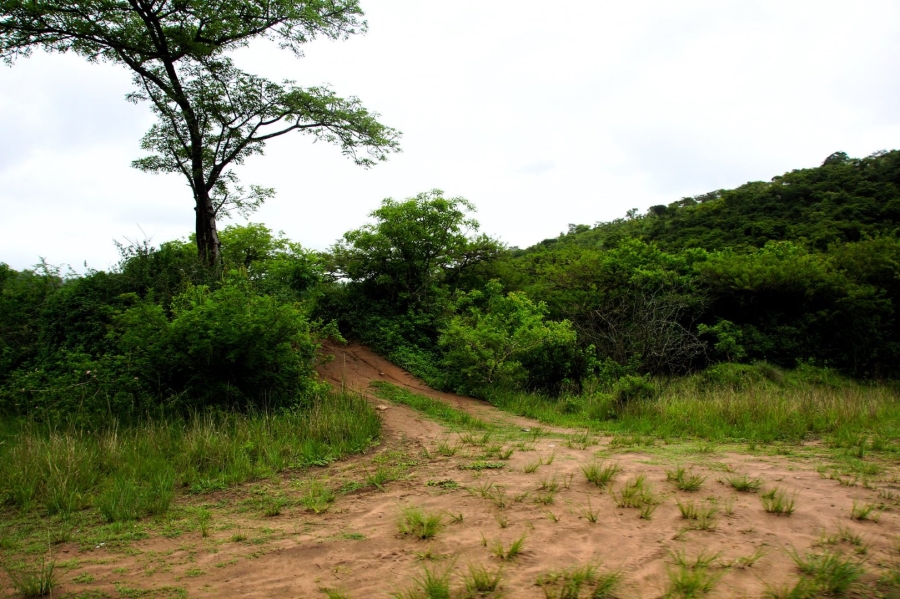 Commercial Property for Sale in Shongweni KwaZulu-Natal