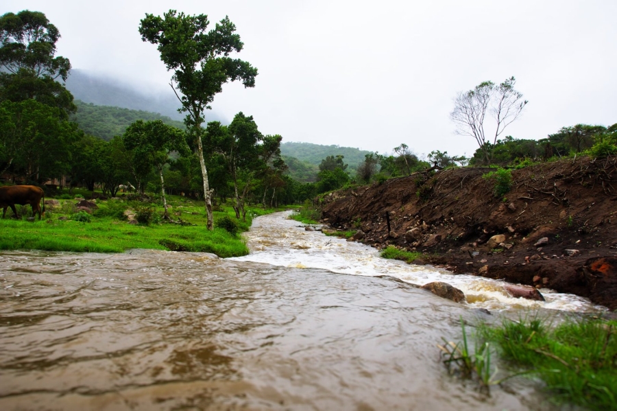 Commercial Property for Sale in Shongweni KwaZulu-Natal