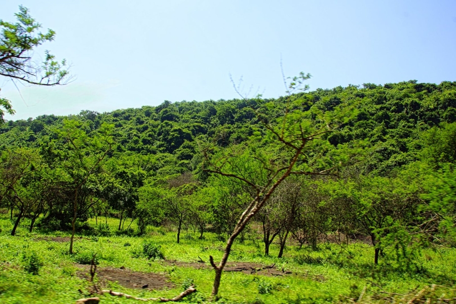 Commercial Property for Sale in Shongweni KwaZulu-Natal