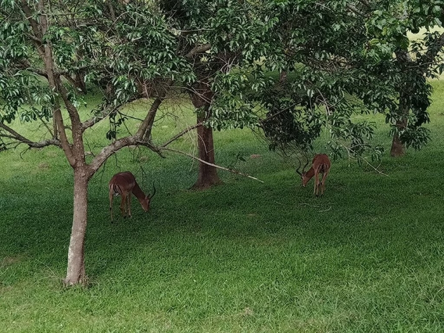 2 Bedroom Property for Sale in Pennington KwaZulu-Natal