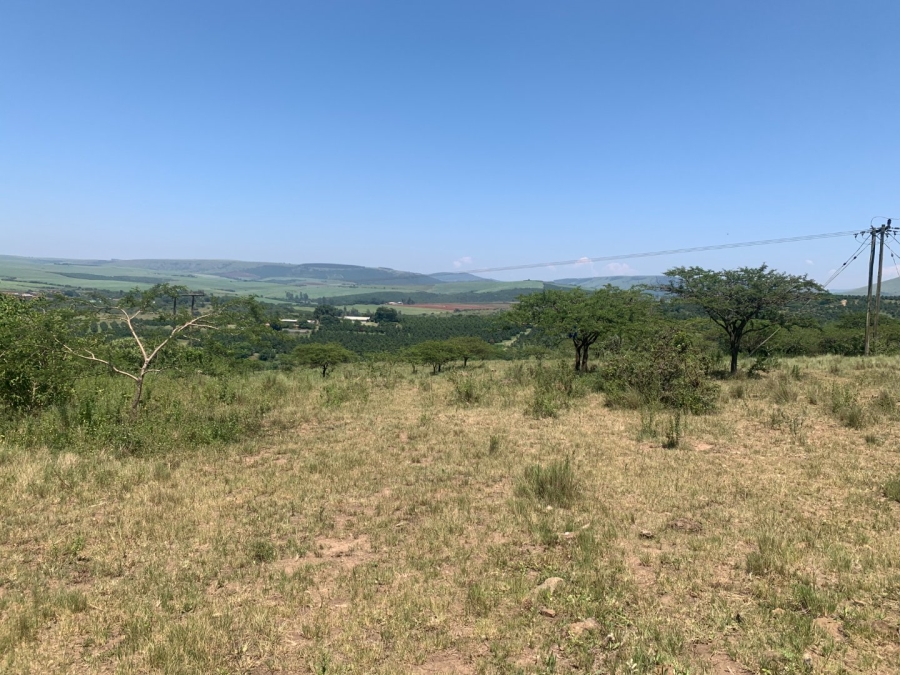 Commercial Property for Sale in Camperdown Rural KwaZulu-Natal