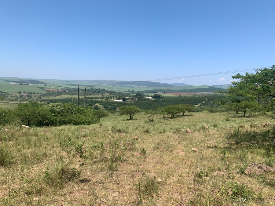 Commercial Property for Sale in Camperdown Rural KwaZulu-Natal