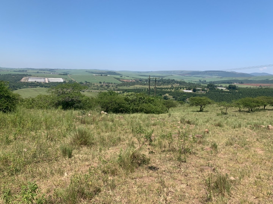 Commercial Property for Sale in Camperdown Rural KwaZulu-Natal