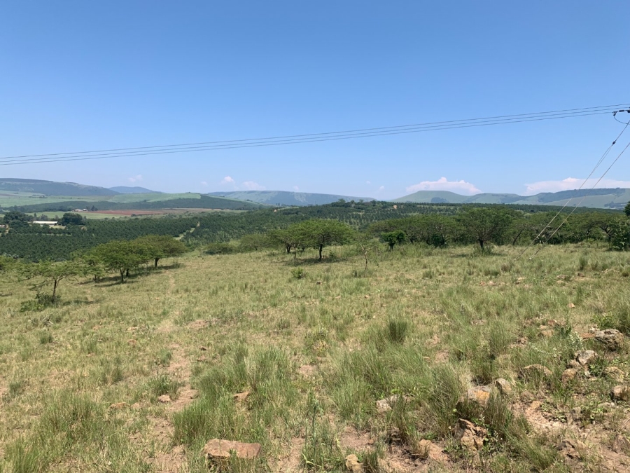 Commercial Property for Sale in Camperdown Rural KwaZulu-Natal