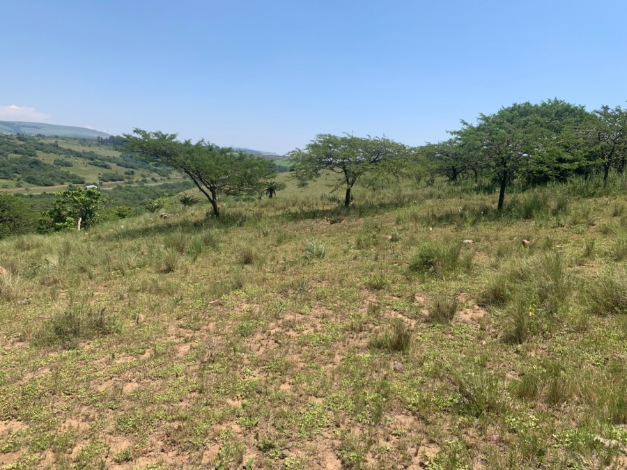 Commercial Property for Sale in Camperdown Rural KwaZulu-Natal