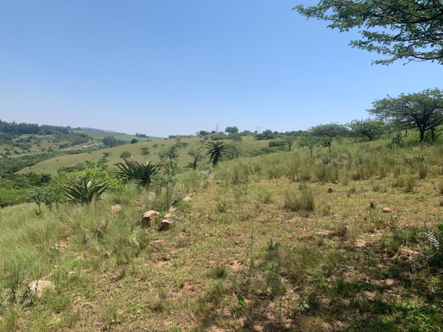 Commercial Property for Sale in Camperdown Rural KwaZulu-Natal