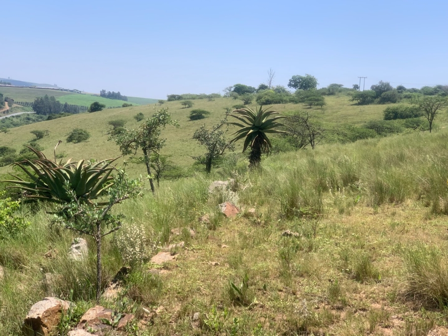 Commercial Property for Sale in Camperdown Rural KwaZulu-Natal
