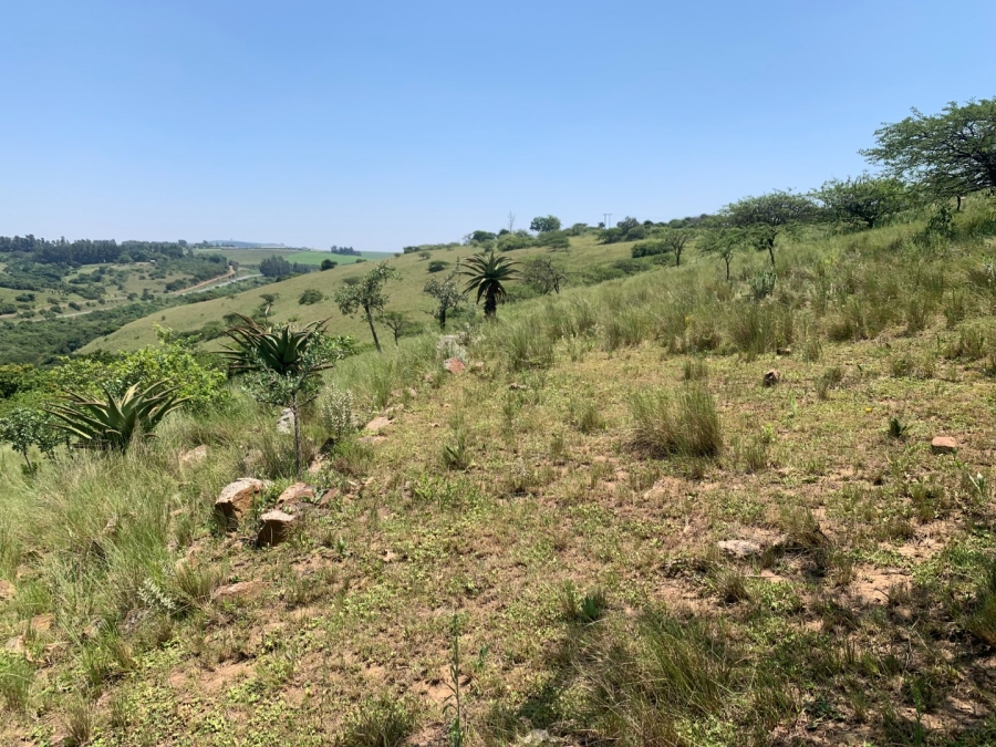 Commercial Property for Sale in Camperdown Rural KwaZulu-Natal