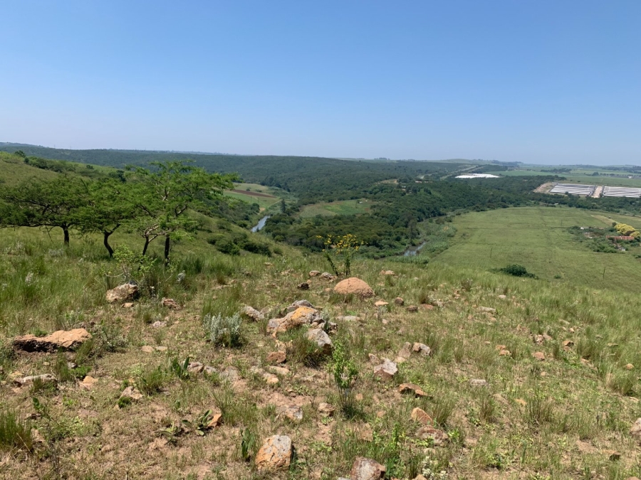 Commercial Property for Sale in Camperdown Rural KwaZulu-Natal