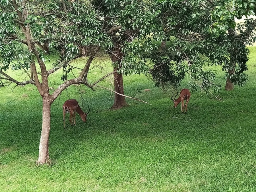 2 Bedroom Property for Sale in Pennington KwaZulu-Natal