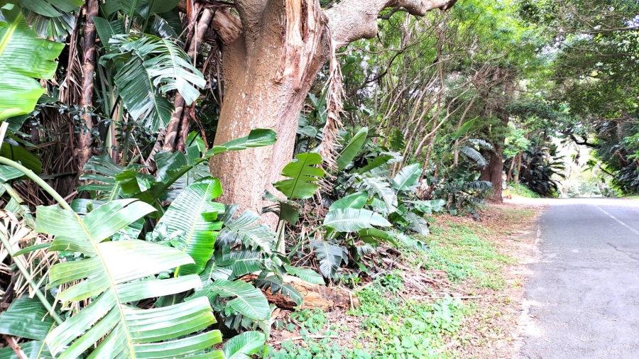 Commercial Property for Sale in Leisure Crest KwaZulu-Natal