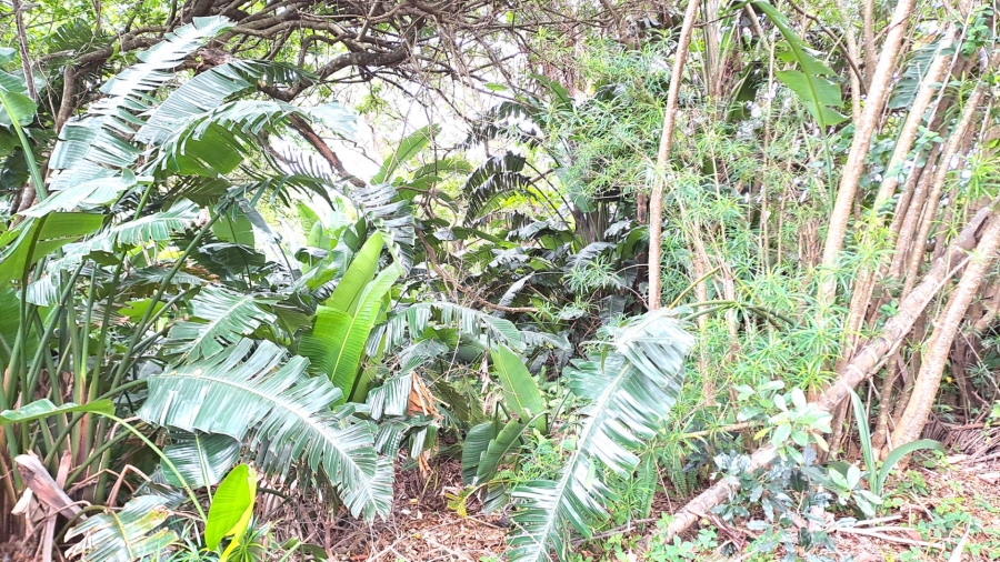 Commercial Property for Sale in Leisure Crest KwaZulu-Natal