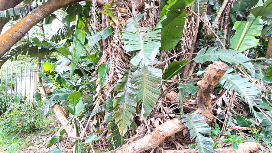 Commercial Property for Sale in Leisure Crest KwaZulu-Natal