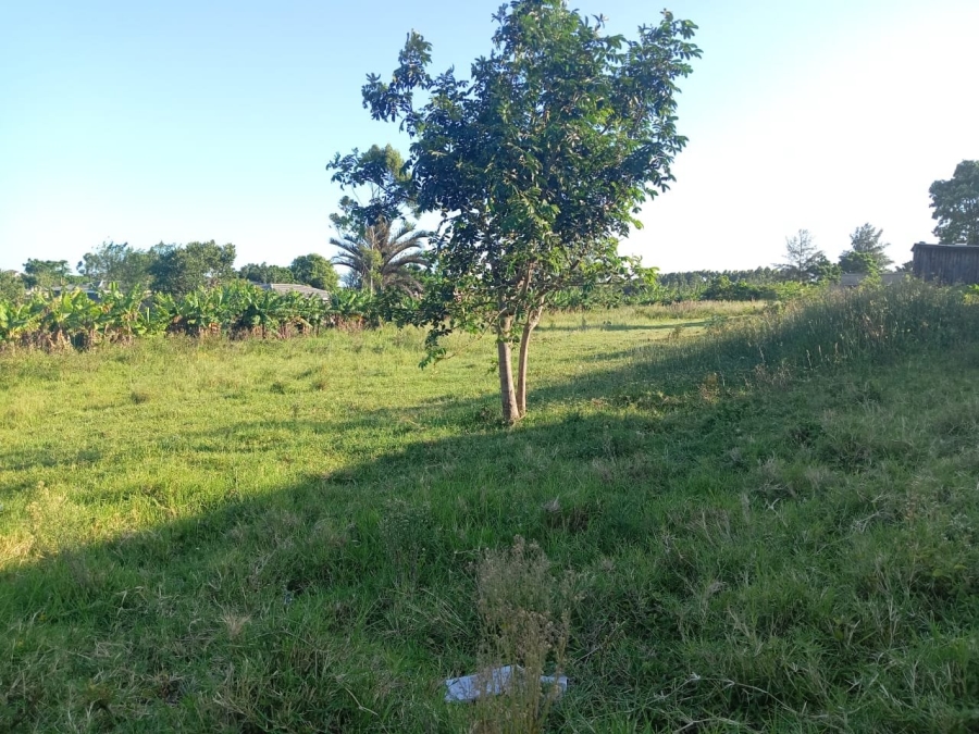 Commercial Property for Sale in Ongoye KwaZulu-Natal