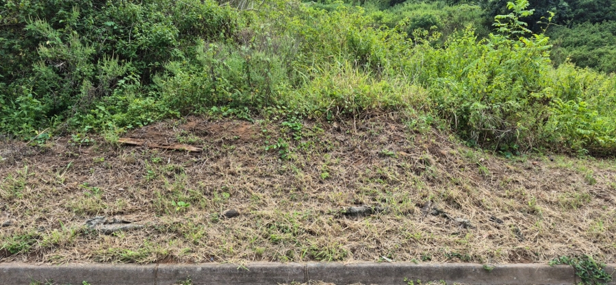 Commercial Property for Sale in Desainagar KwaZulu-Natal