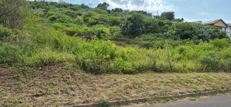 Commercial Property for Sale in Desainagar KwaZulu-Natal