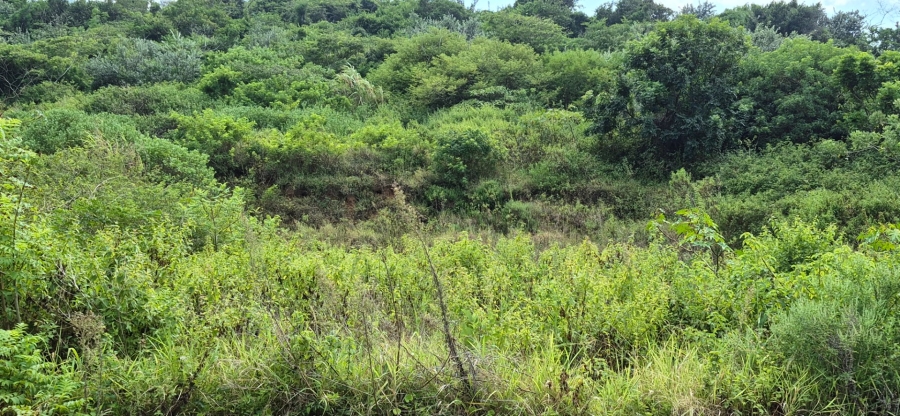 Commercial Property for Sale in Desainagar KwaZulu-Natal