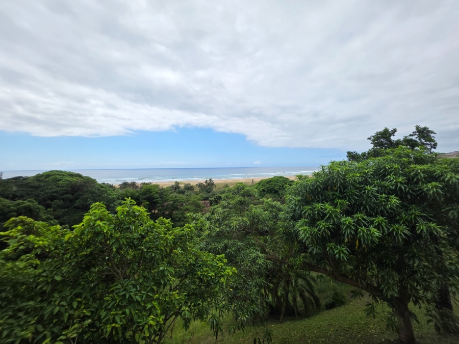 Commercial Property for Sale in Elysium KwaZulu-Natal