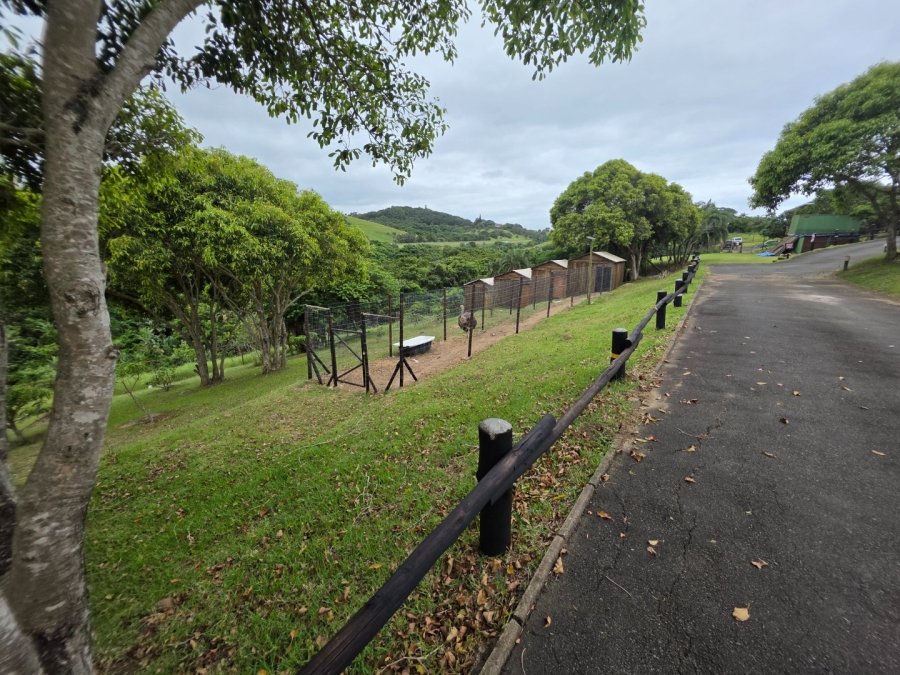 Commercial Property for Sale in Elysium KwaZulu-Natal