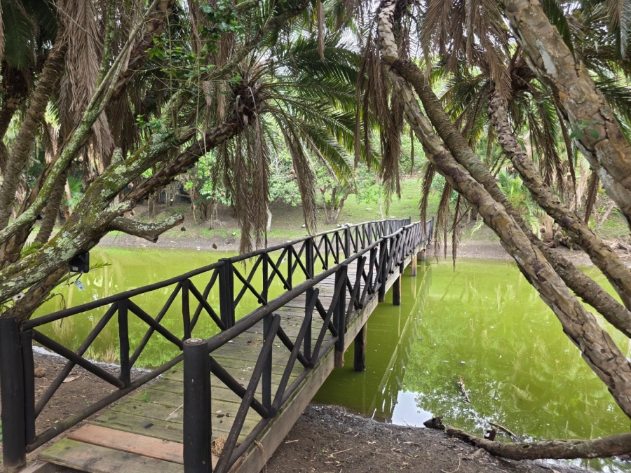 Commercial Property for Sale in Elysium KwaZulu-Natal