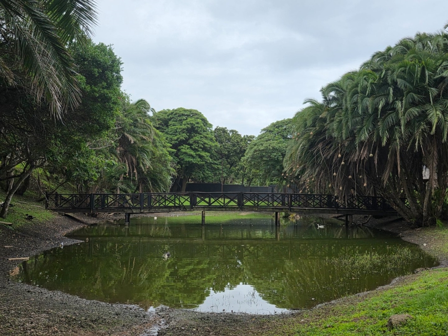 Commercial Property for Sale in Elysium KwaZulu-Natal