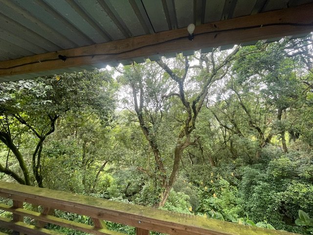 7 Bedroom Property for Sale in Worlds View KwaZulu-Natal