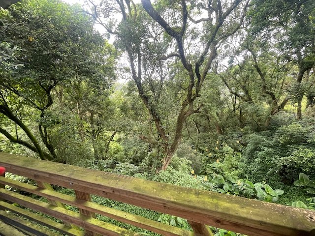 7 Bedroom Property for Sale in Worlds View KwaZulu-Natal