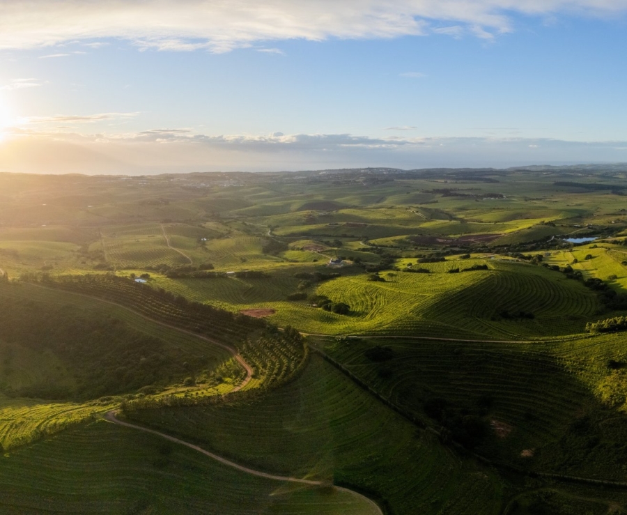 Commercial Property for Sale in Fairview Estates KwaZulu-Natal