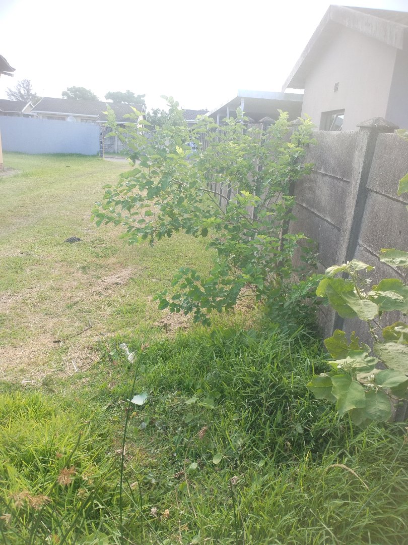 Commercial Property for Sale in Esikhawini KwaZulu-Natal