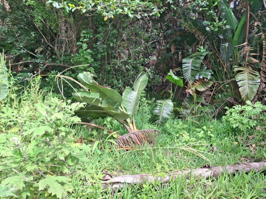 Commercial Property for Sale in Glenmore KwaZulu-Natal